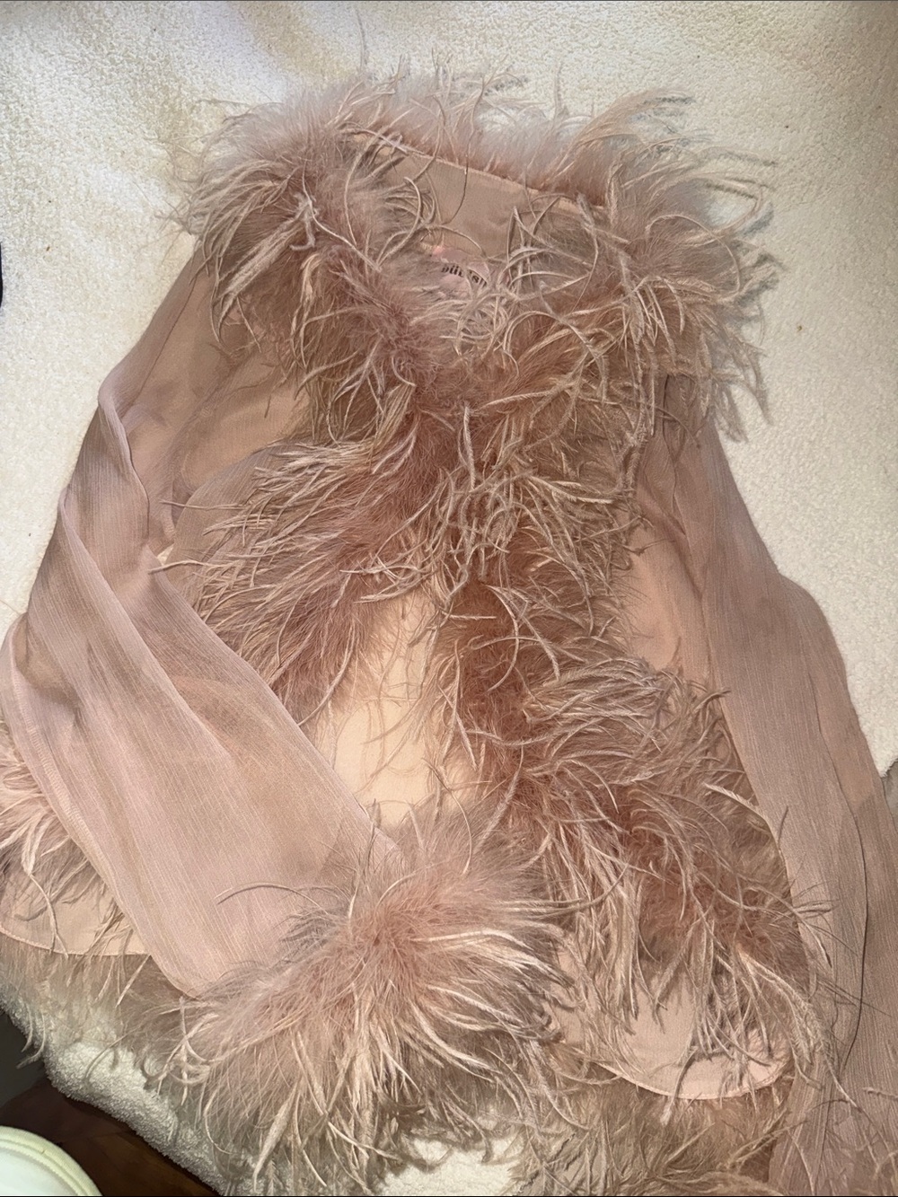 Blush Feather-Trim Sheer Women's Blouse- New with tags